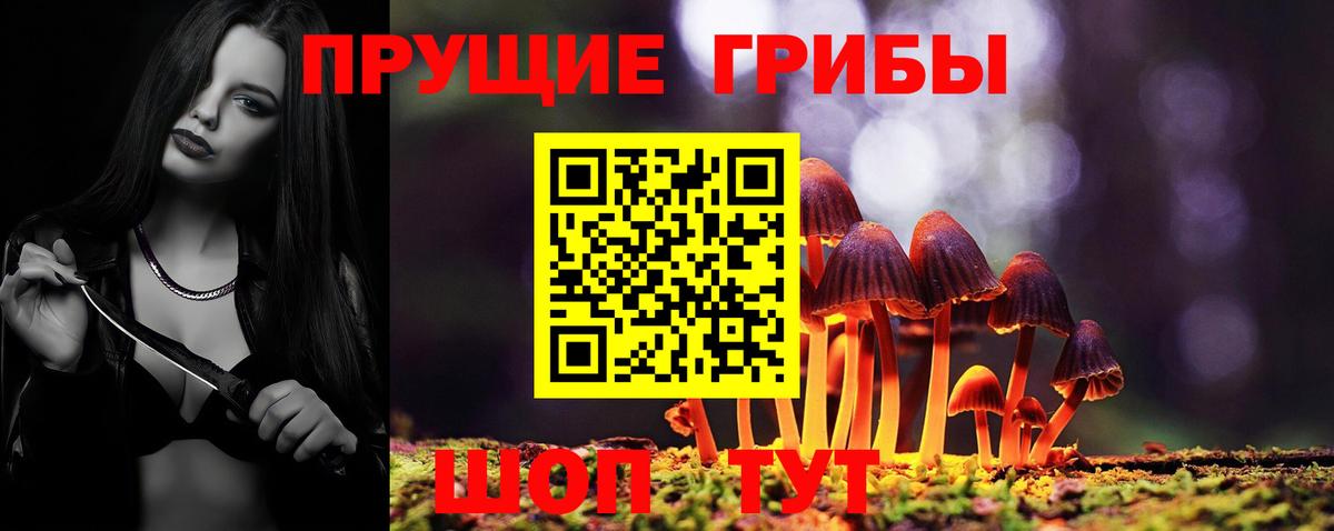 Псилоцибиновые грибы Cubensis  Галлюциногенные грибы GOLDEN TEACHER  Вход с VPN  Вичуга 